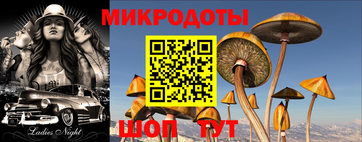 Галлюциногенные грибы ЛСД Дзержинский